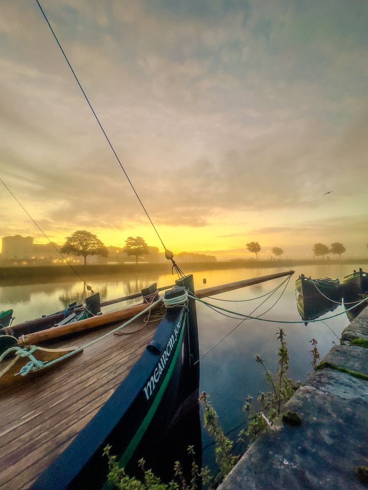 Foggy Sunrise