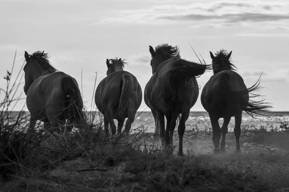 Photograph by Dimitri Bakhtadze
