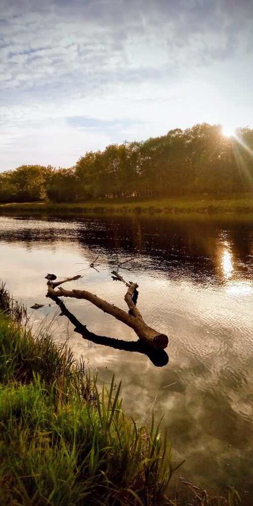 Photograph by Jindřiška Kučerová