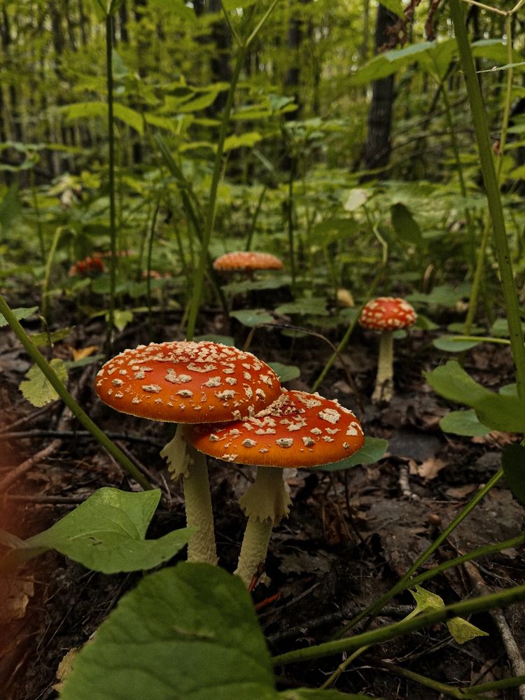 Фотография автора Наталья Агапова