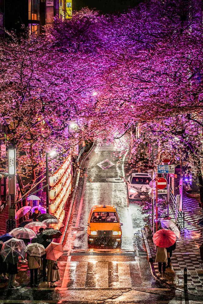 Photograph by TamaU TamaU