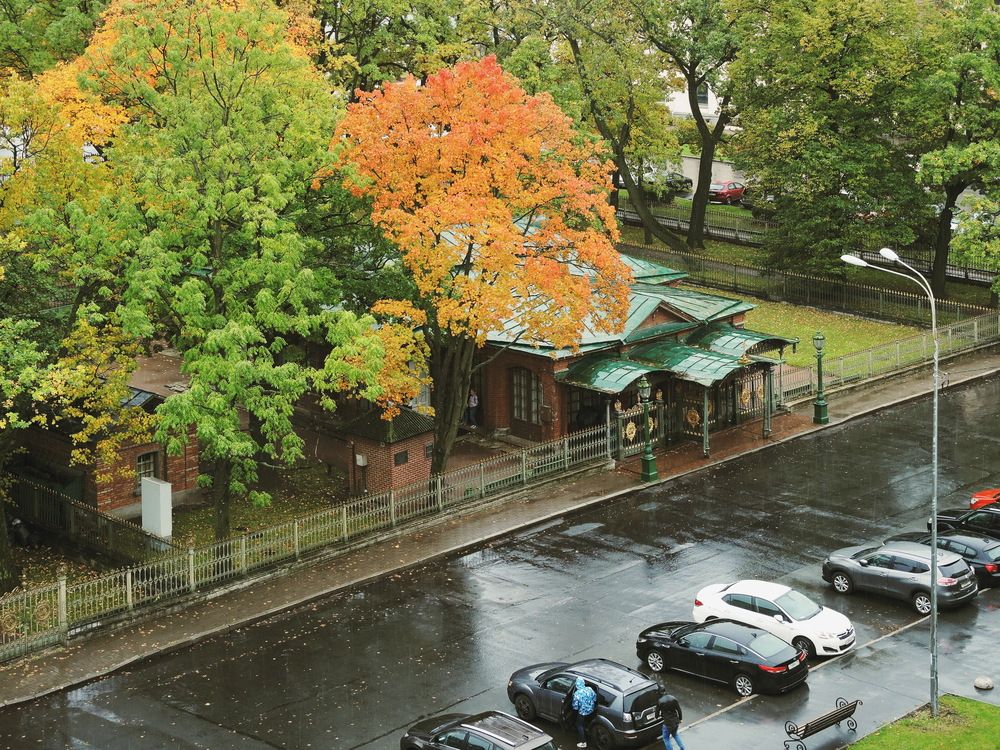 Осень в городе