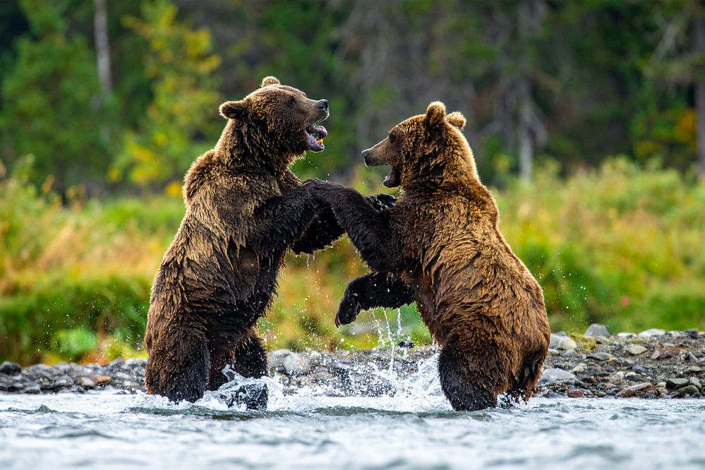 Photograph by Massimo Tamajo