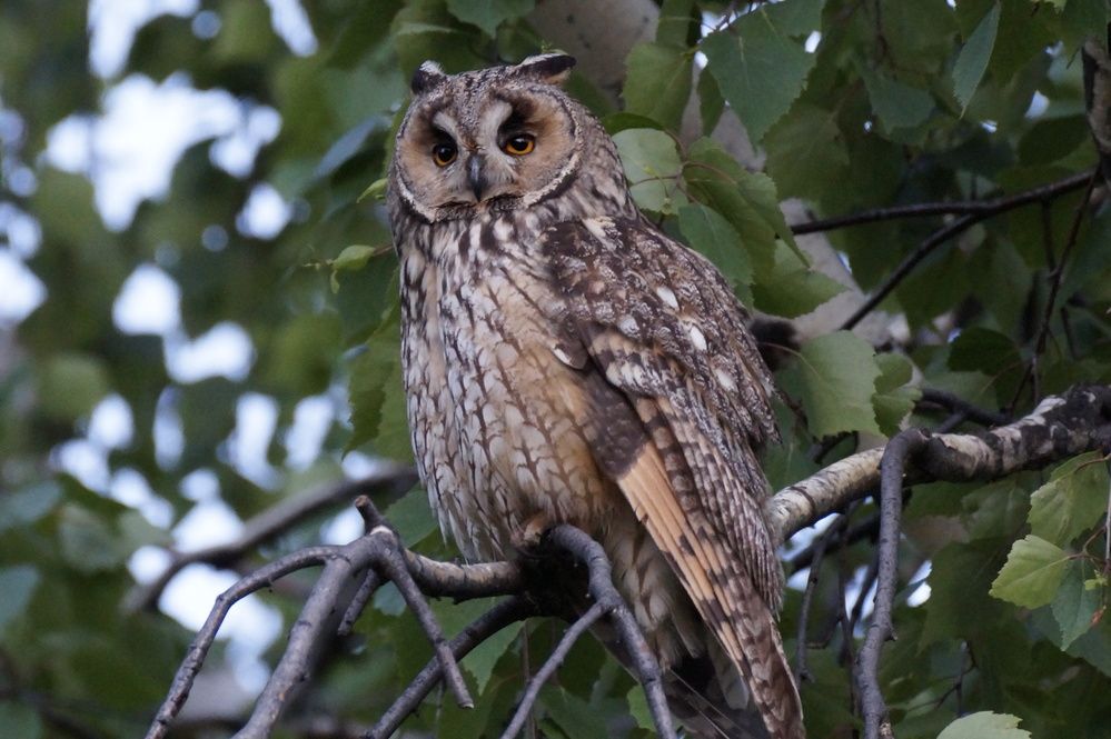 Photograph by Аlessandro