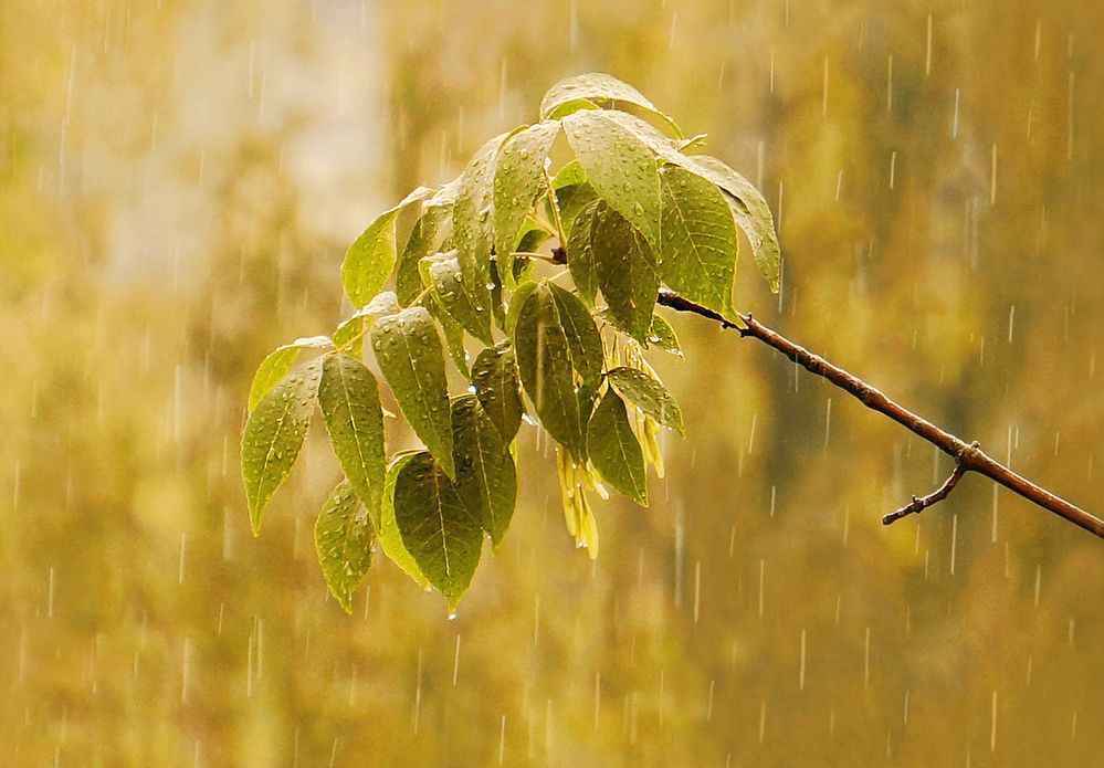 Фотография автора Е лена Е