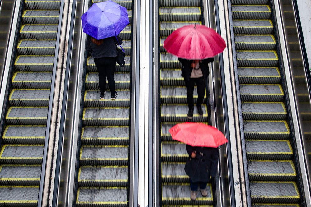 Photograph by Cifuentes Araya Bastián