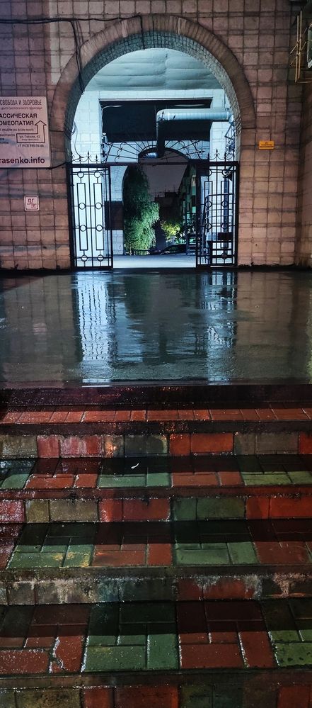 Photograph by Olena Chertous