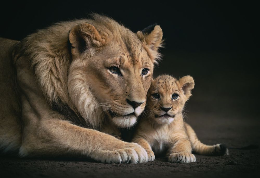 Photograph by Наталья Максимова