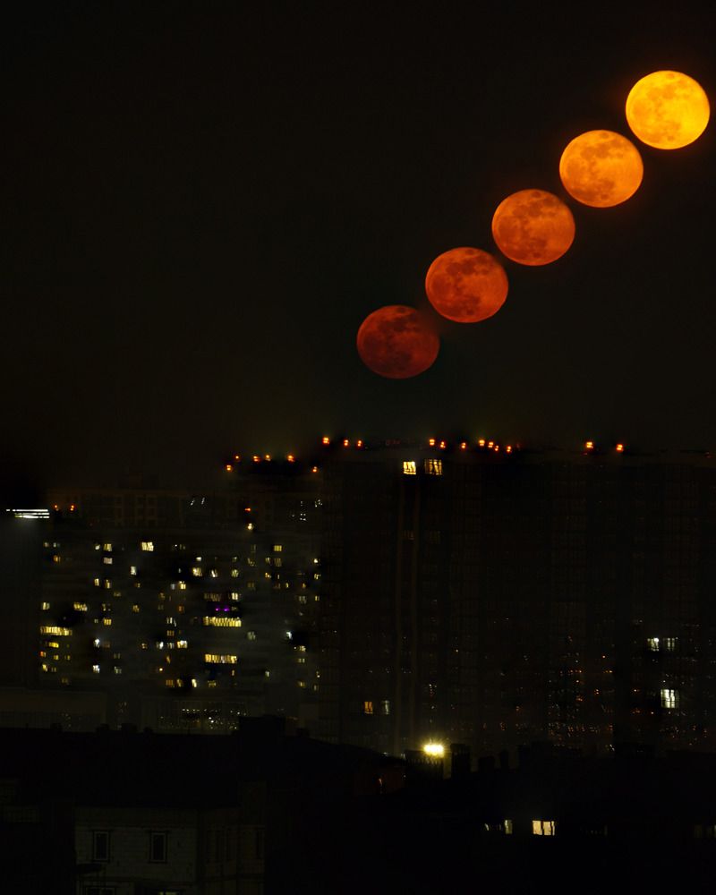 Photograph by Дмитрий Лобанов