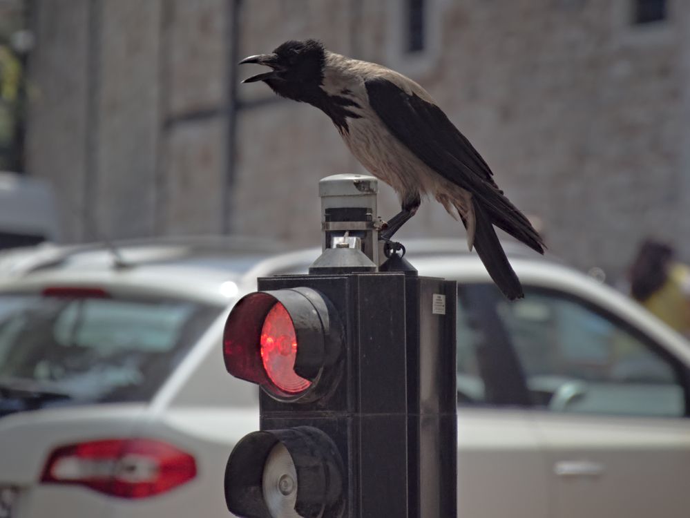 Photograph by Андрей Куприенко