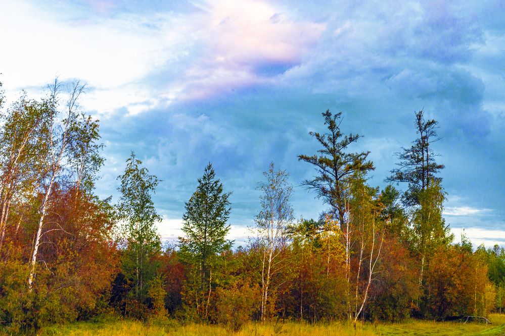 Осенние краски.