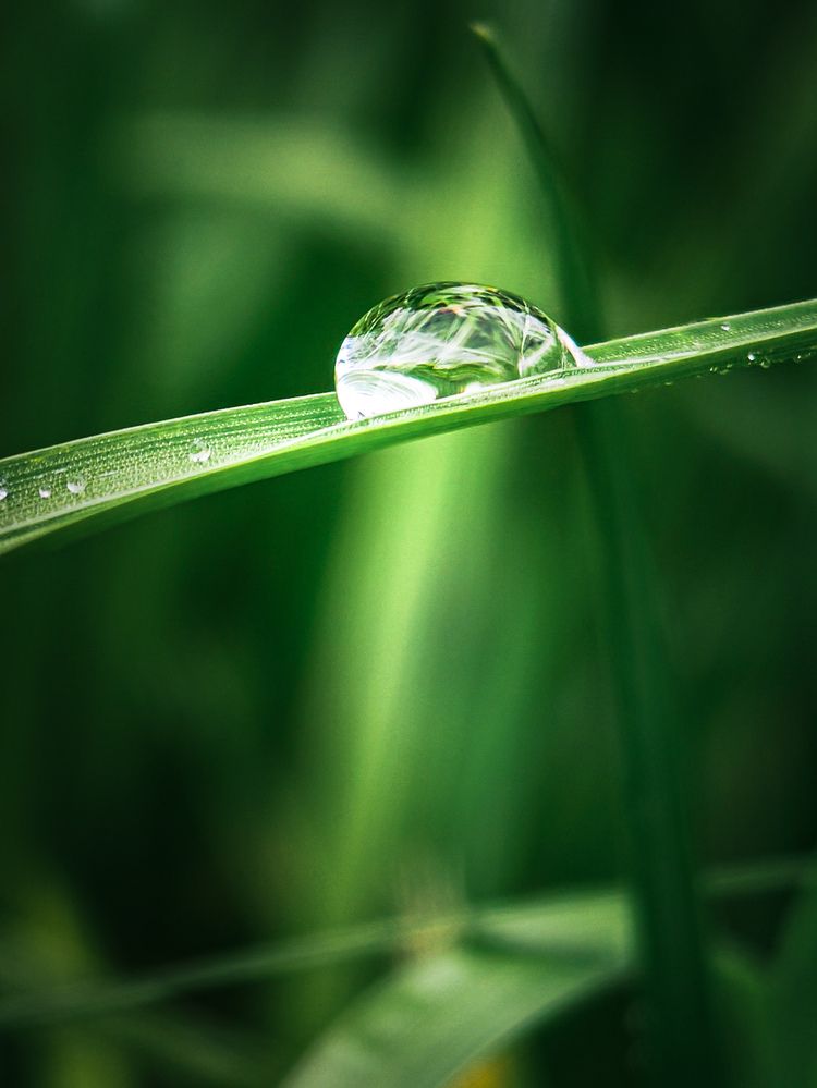 Photograph by Сергей Степаненко