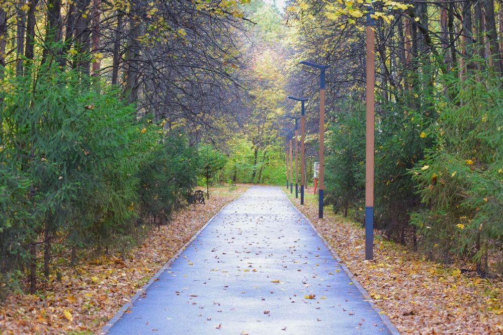 Photograph by Albina Rahimova