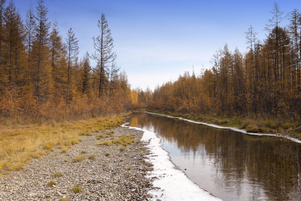 Осенний ручеек.