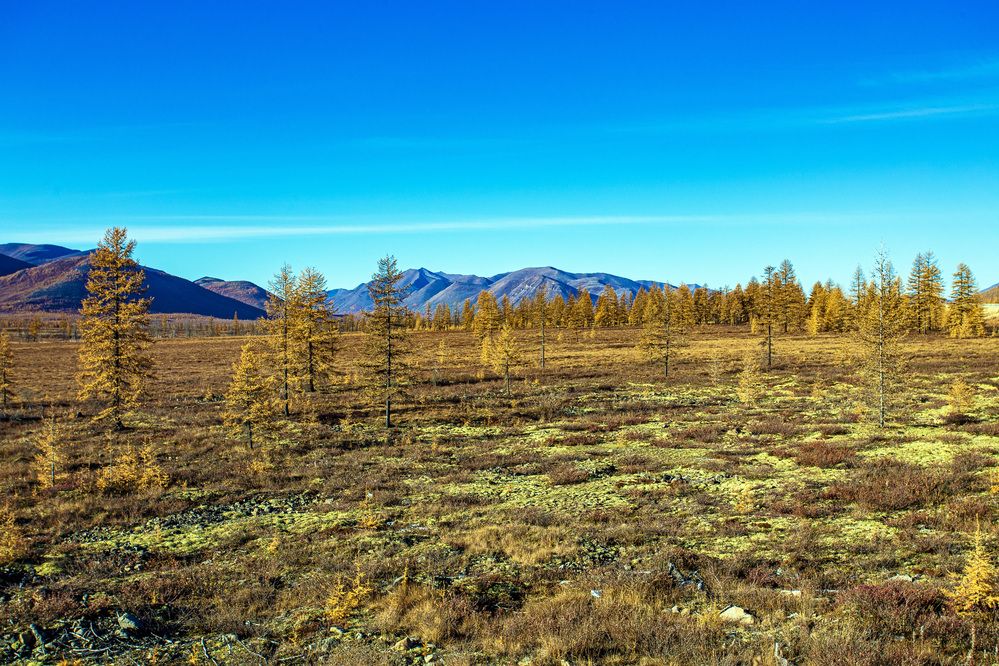 Осень в горах.