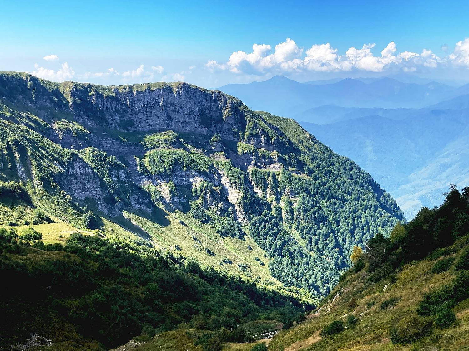 Фотография #12636767