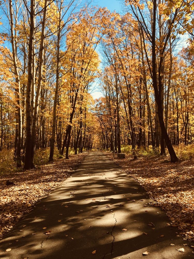 Картина для Шефа.