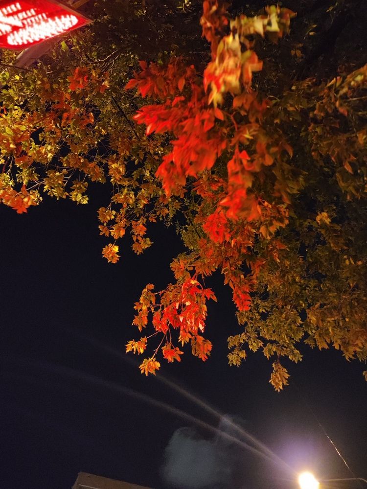 Photograph by Татьяна Пьянзина