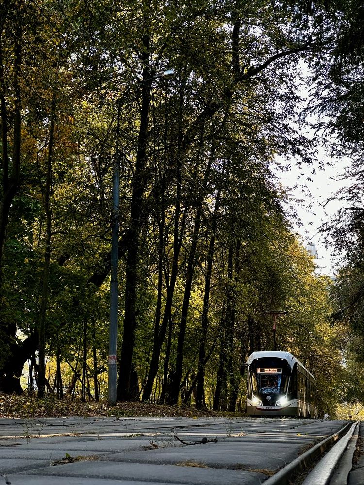 Photograph by Елена Брижеватая