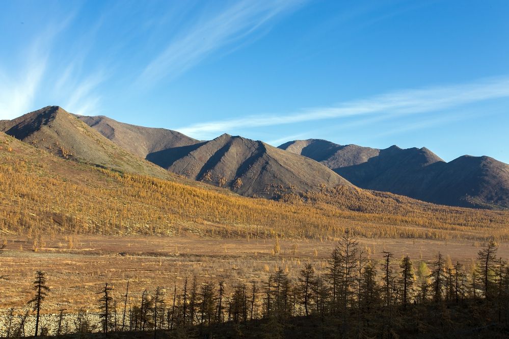 Раннее осеннее утро на горах.