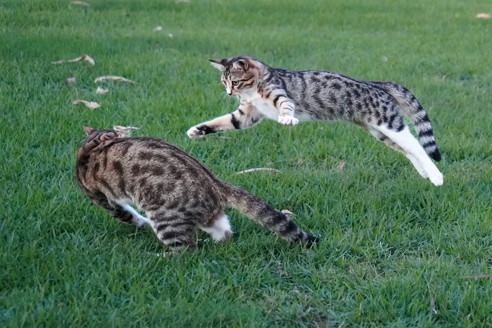 Photograph by Bulat Bayzuldin