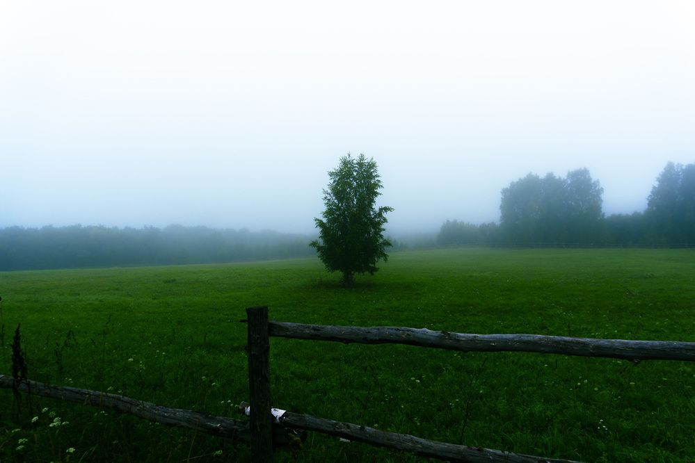 Photograph by Сергей Ларкин