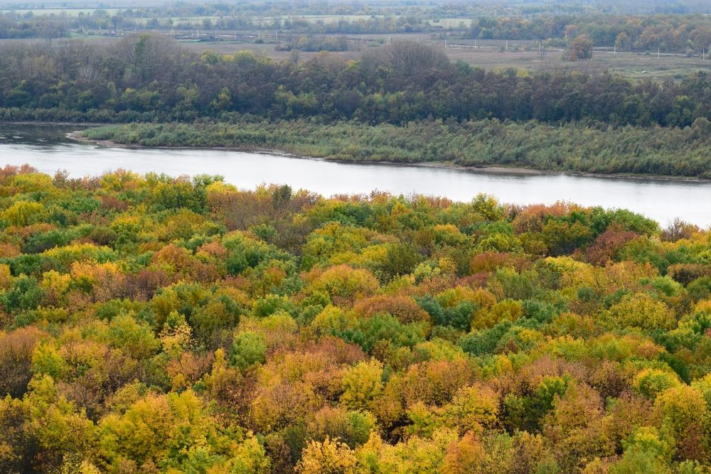 Photograph by Albina Rahimova