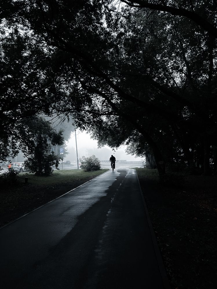 Photograph by Константин Шипицын