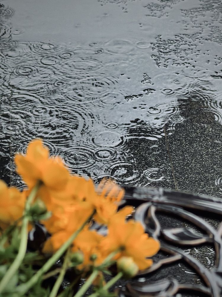 Photograph by Оксана Абакумова