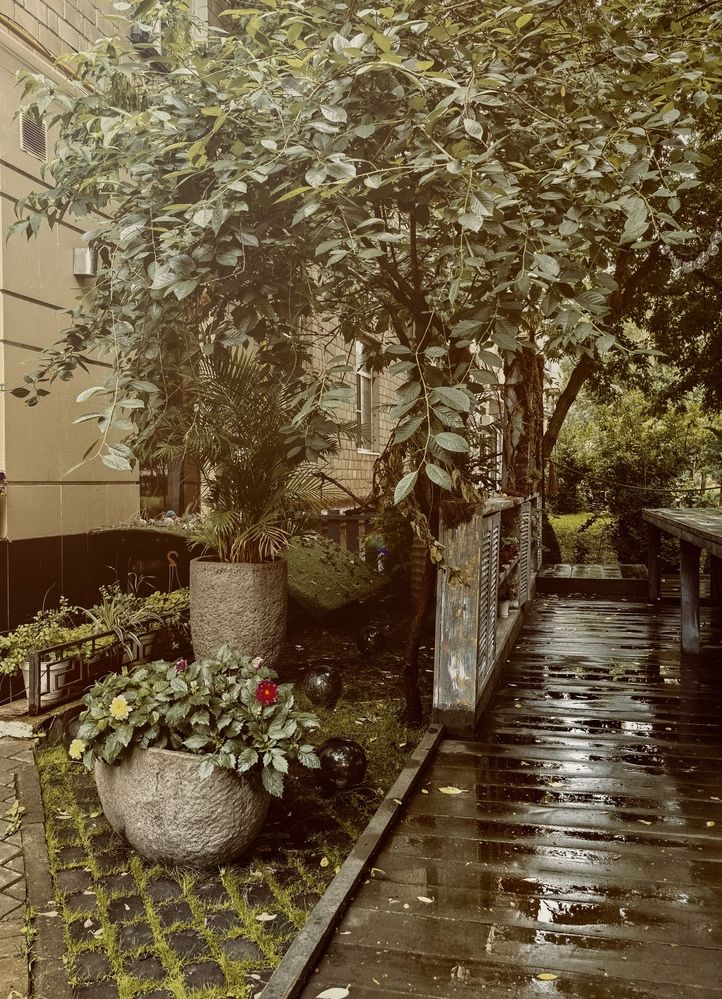 Photograph by Оксана Абакумова