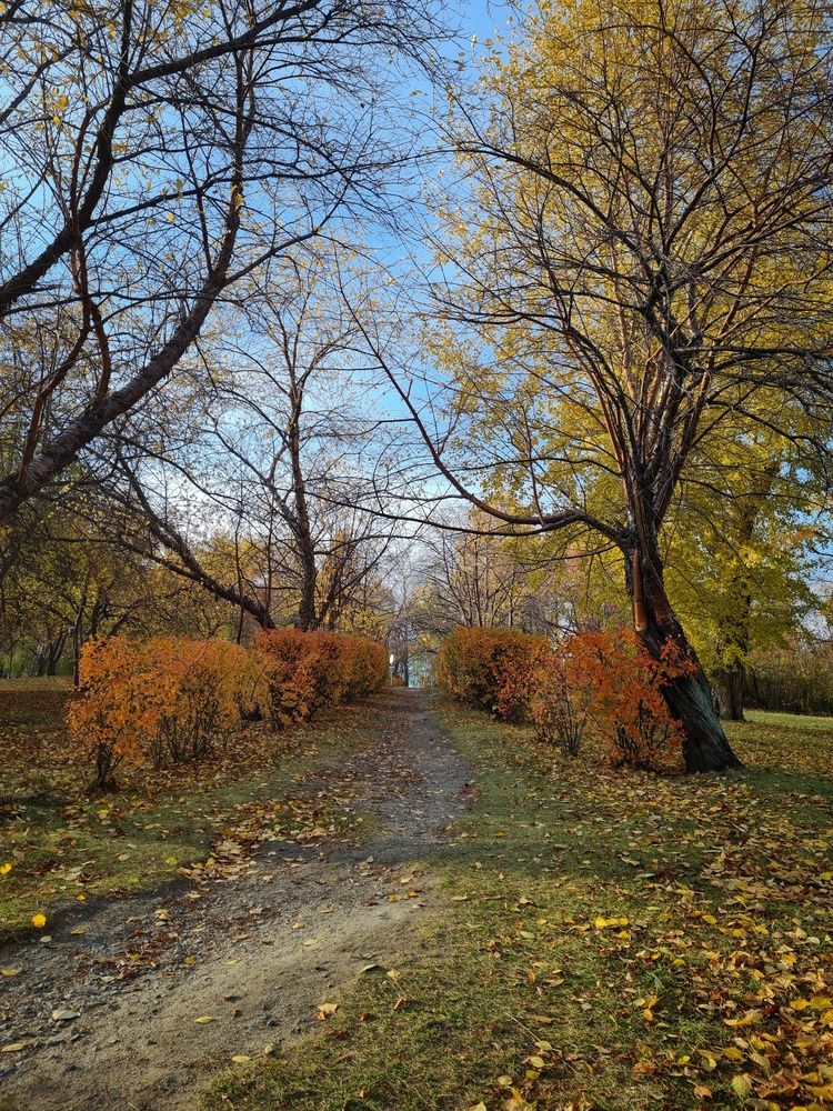 Photograph by Константин Шипицын