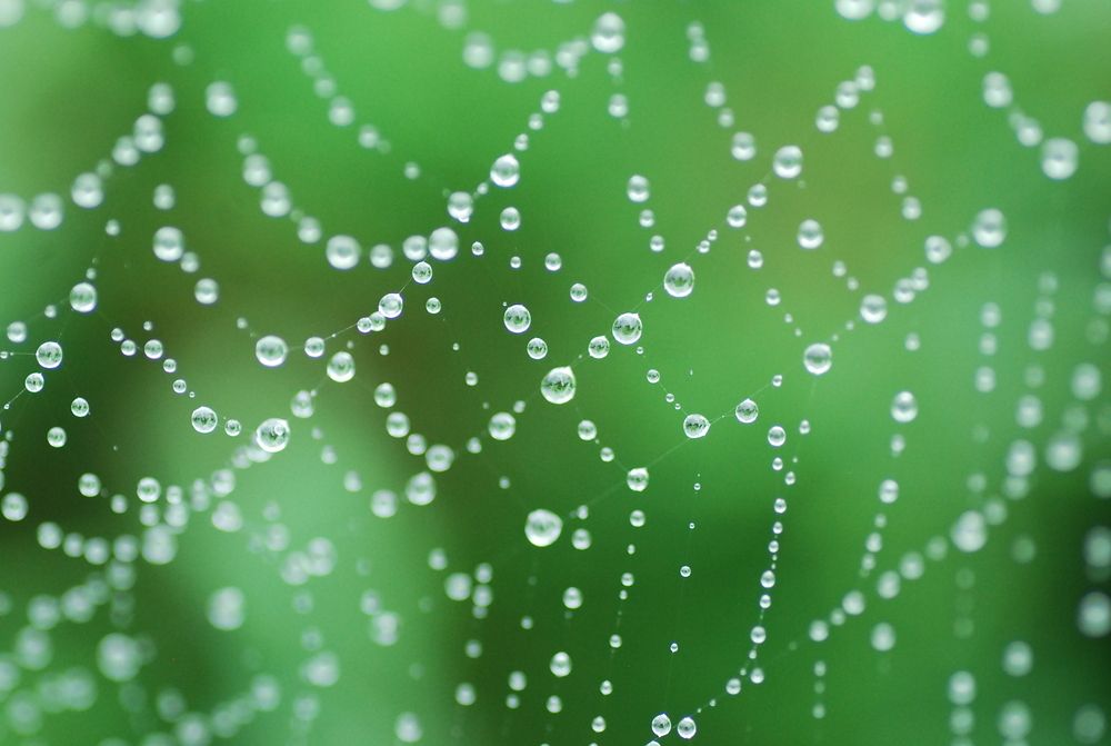 Photograph by Оксана Трофименко