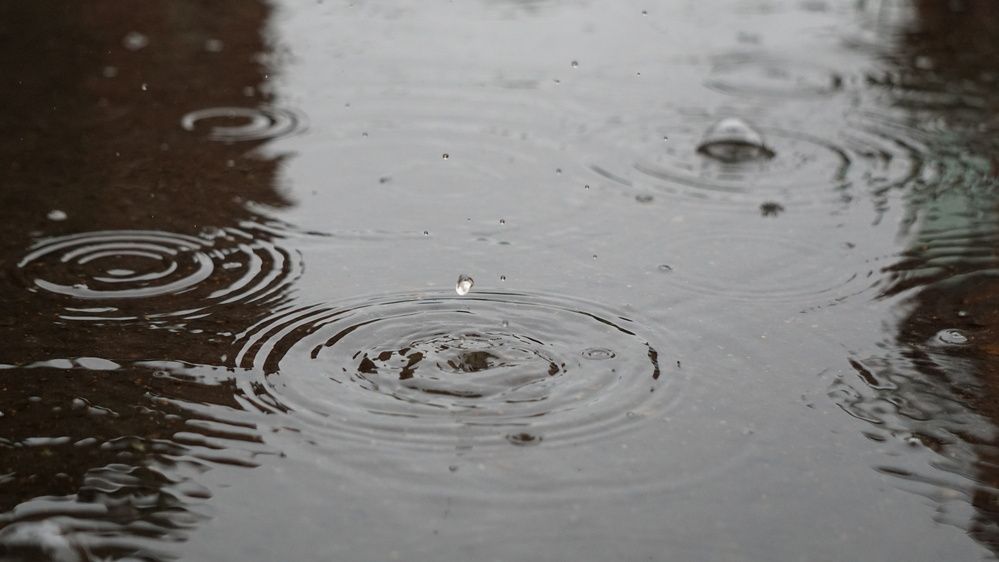 Photograph by Оксана Трофименко