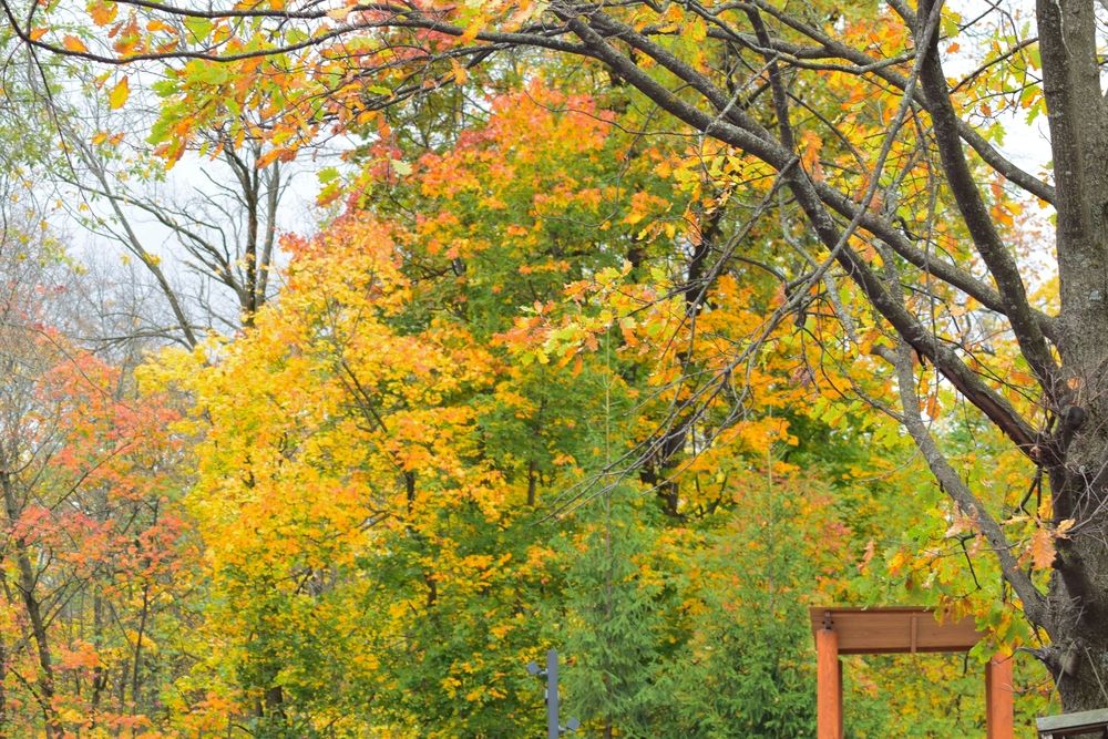 Photograph by Albina Rahimova