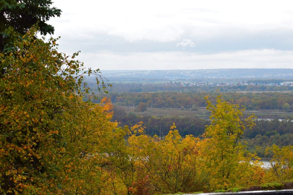 Photograph by Albina Rahimova