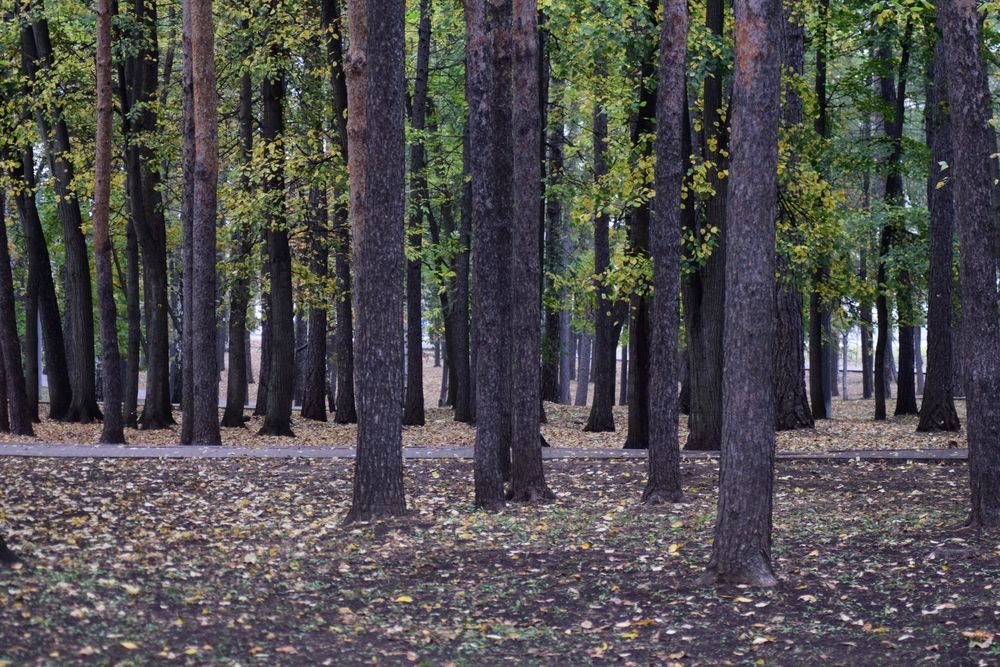 Photograph by Albina Rahimova