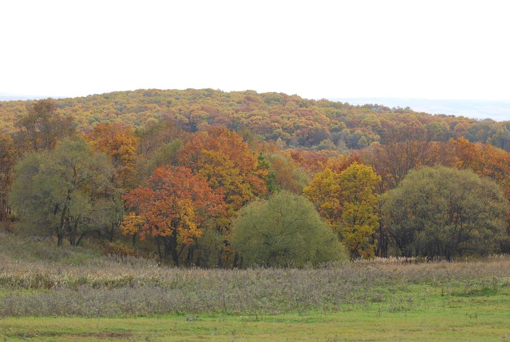 Photograph by Оксана Трофименко