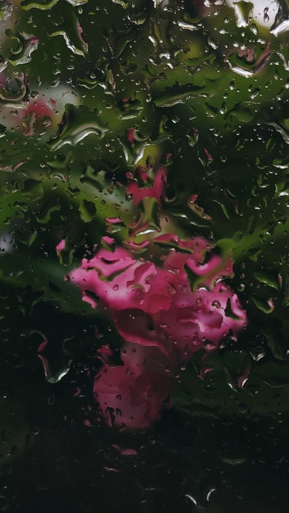 Фотография автора Анна Морозова