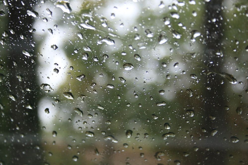 Photograph by Igors Rostikovs