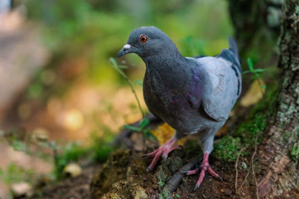 Photograph by Дарий Остахов