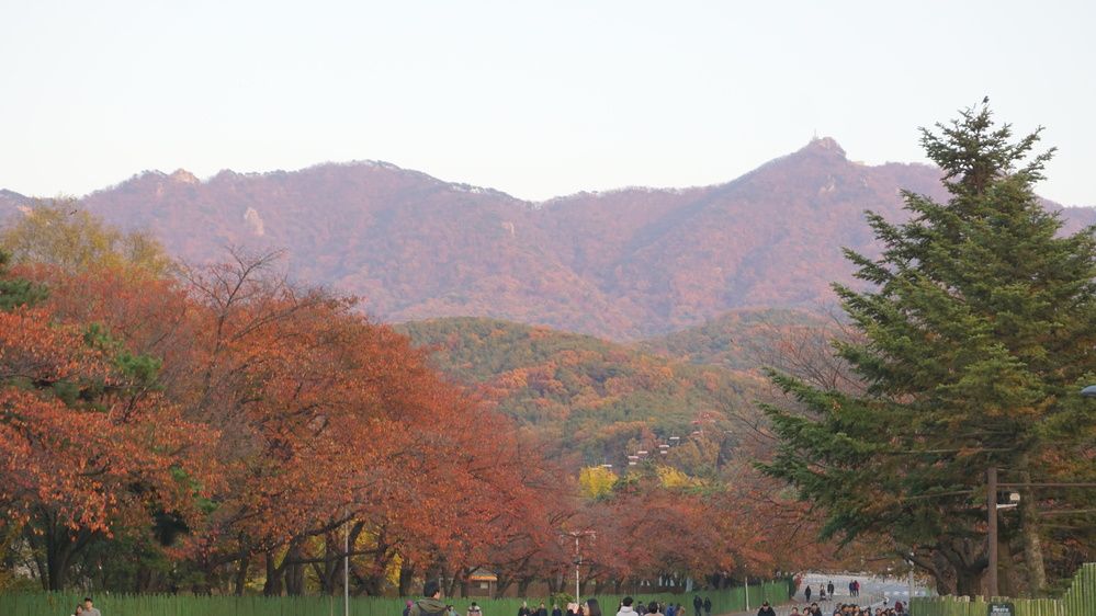 Photograph by Оксана Трофименко