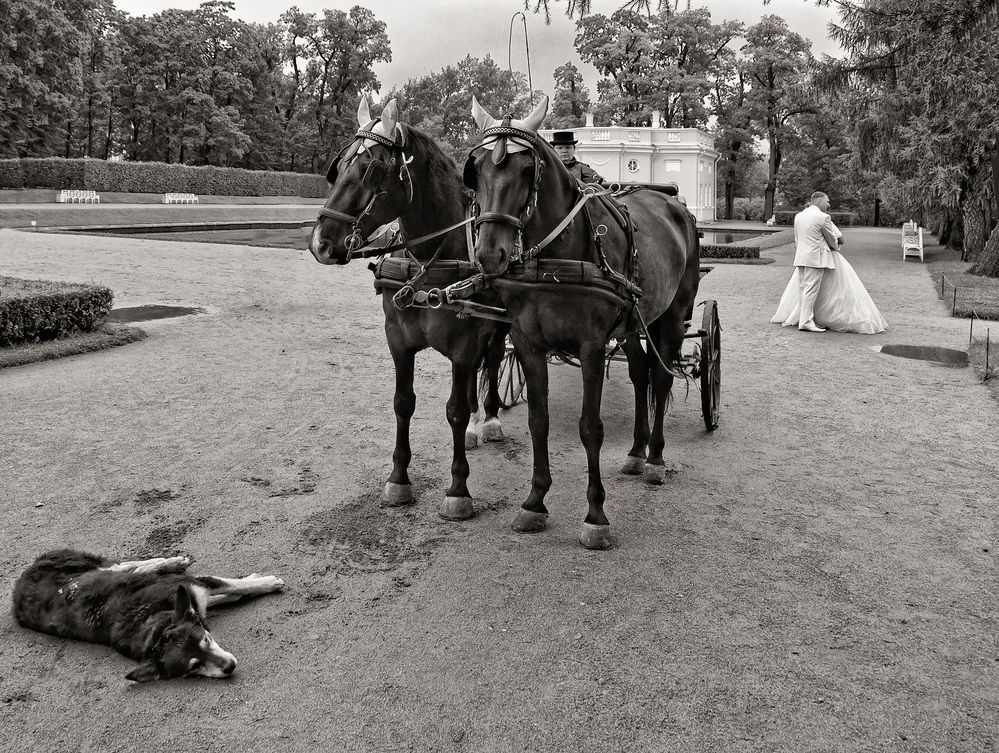 Photograph by Алексей Козлов