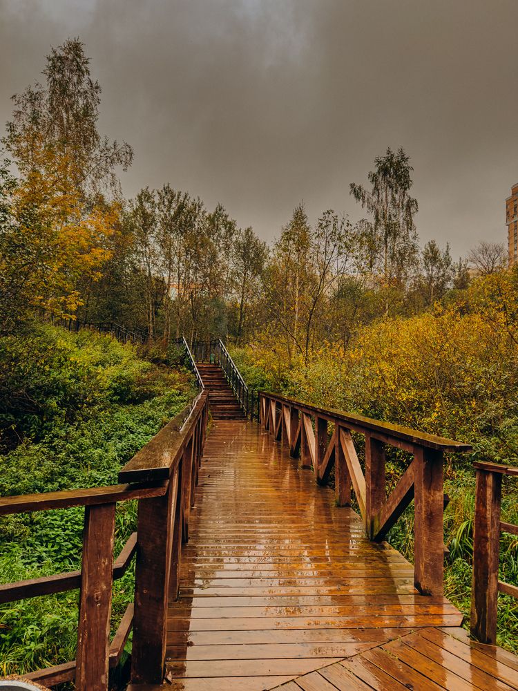 Фотография автора Марина Рябуха