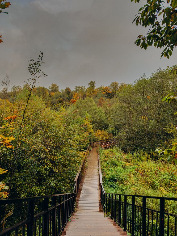 Фотография автора Марина Рябуха