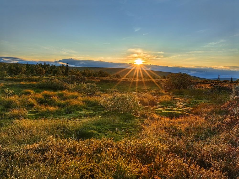 Photograph by OLGA MIKHNEVICH