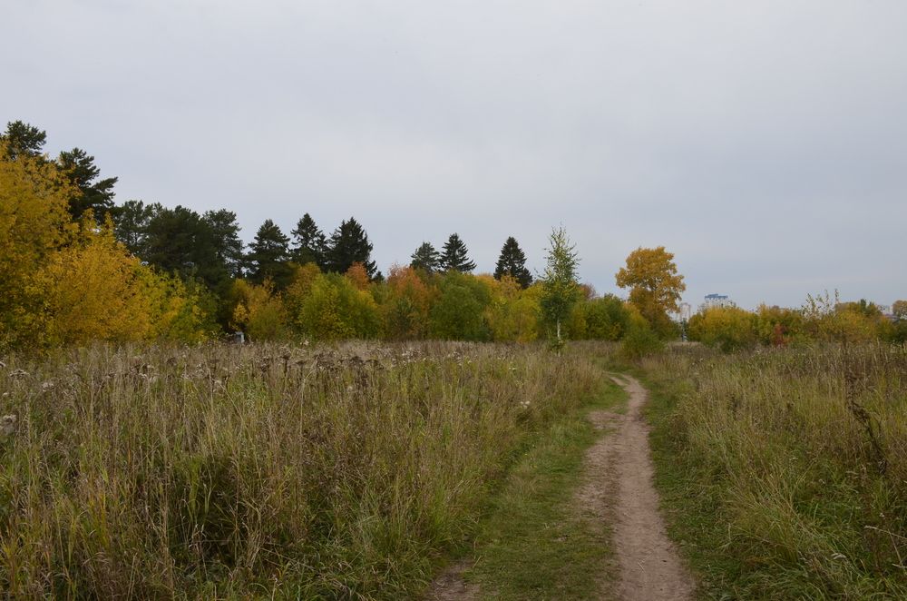 Фотография автора Алексей Власов