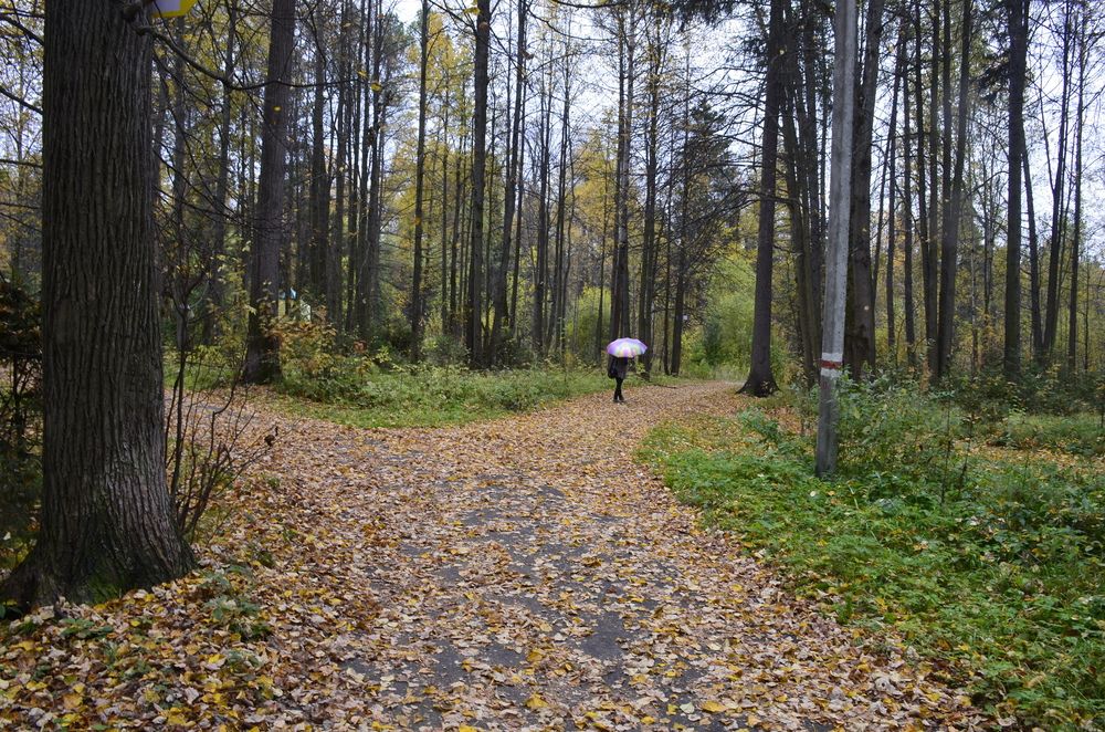 Фотография автора Алексей Власов