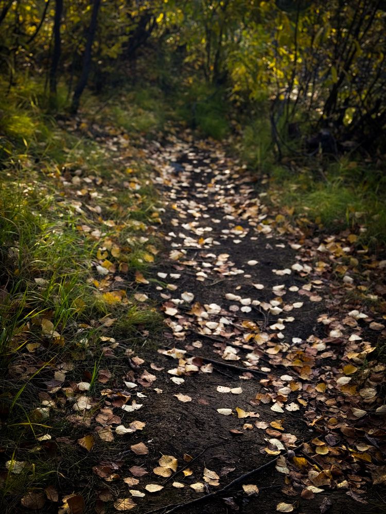 Photograph by Ярослава Васильева