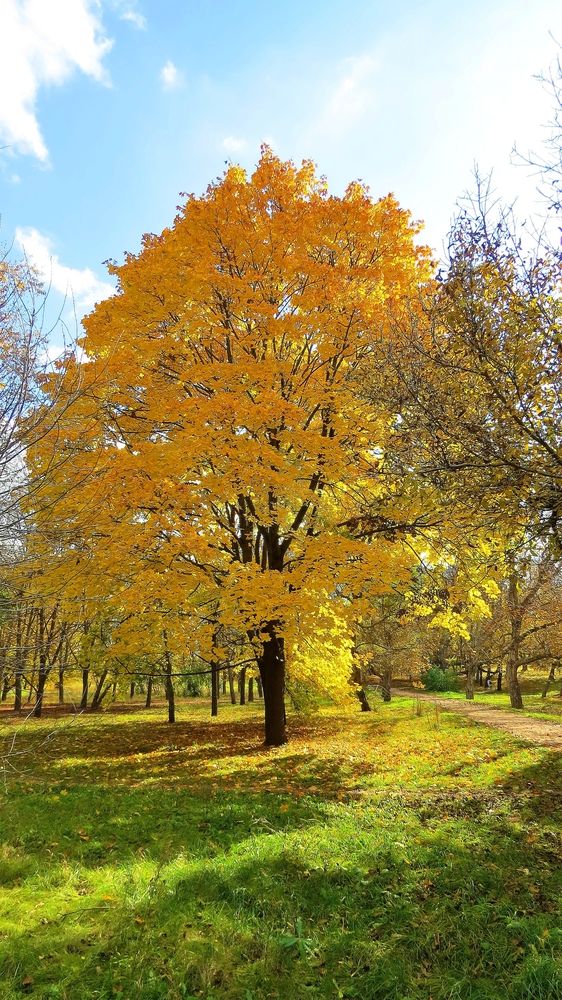 Photograph by Фартушняк Сергей