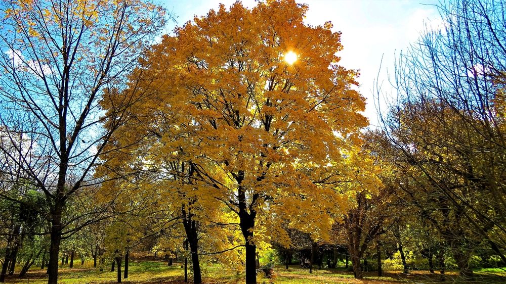 Photograph by Фартушняк Сергей